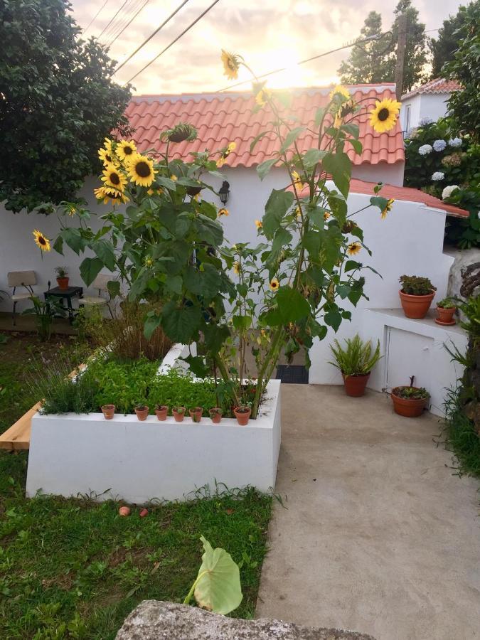 The Azores Homestead - Terceira Santa Barbara  Екстериор снимка