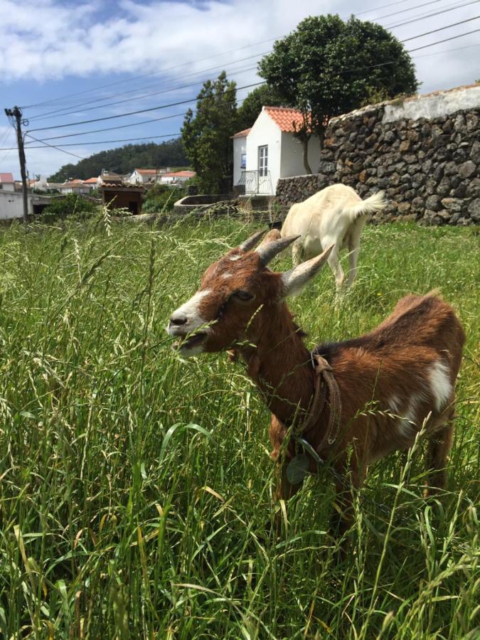 The Azores Homestead - Terceira Santa Barbara  Екстериор снимка