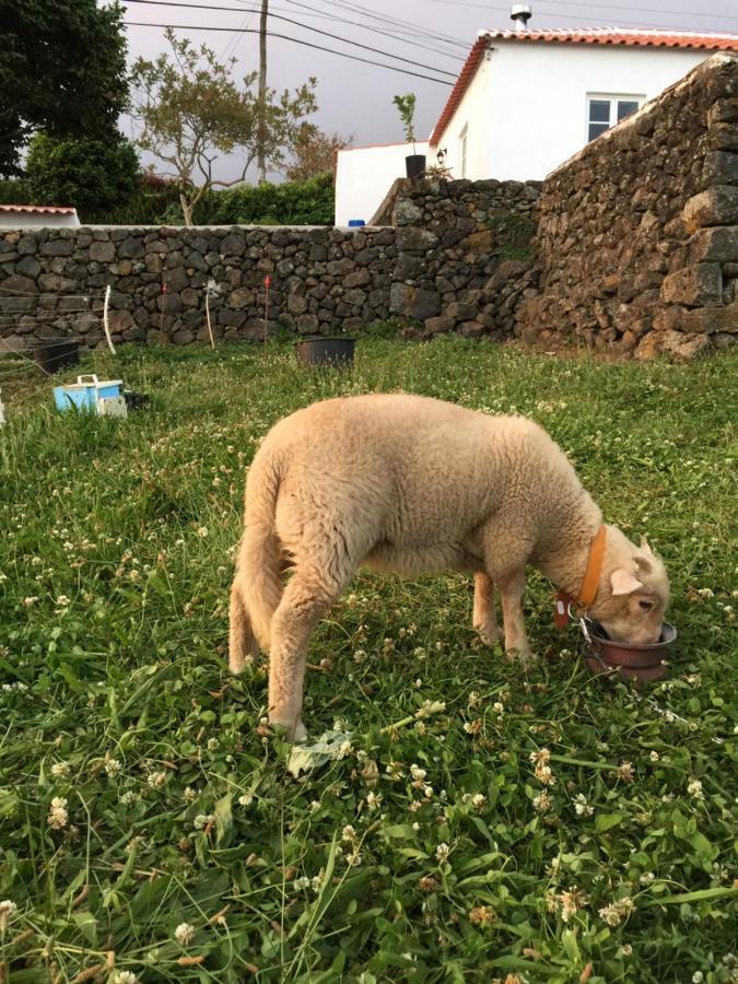 The Azores Homestead - Terceira Santa Barbara  Екстериор снимка